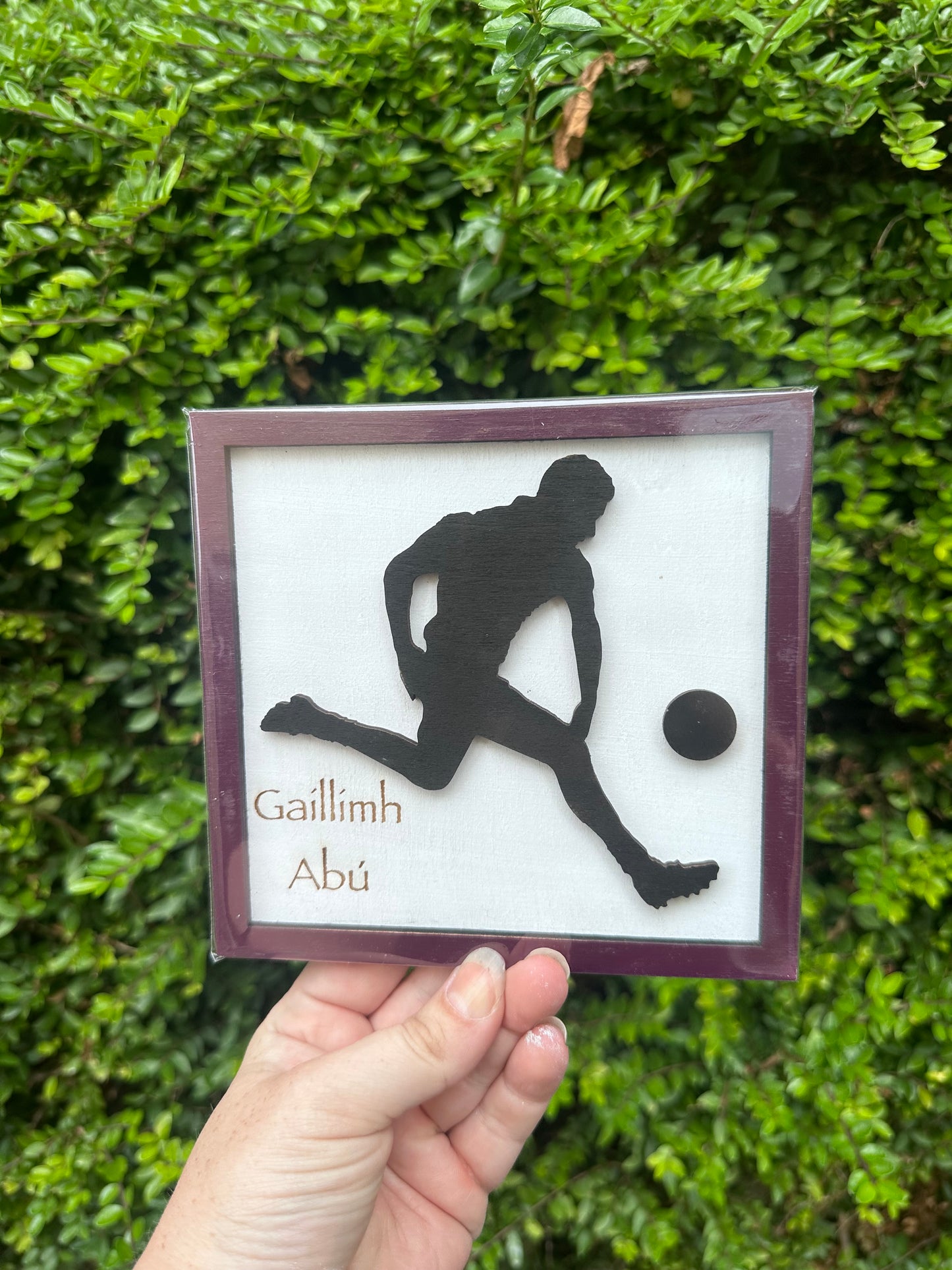 Gaillimh Abú Mini